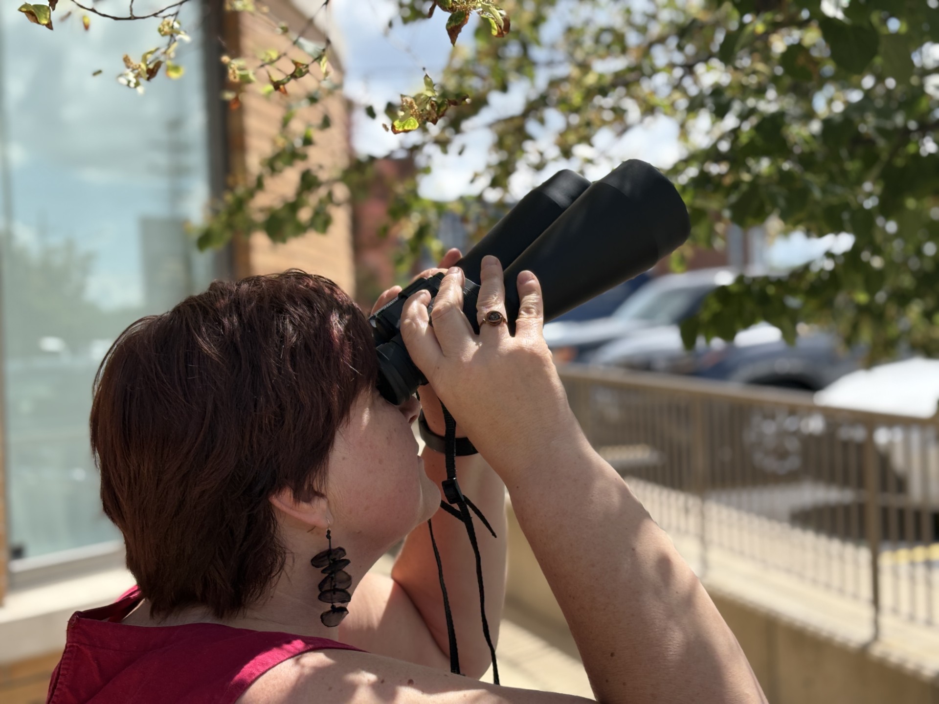 A woman looks into a tree with binoculars.